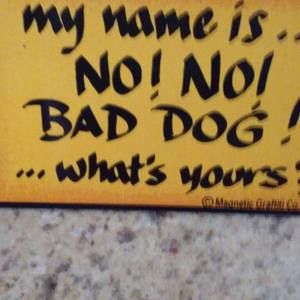 Meet your Posher, Terryapluche